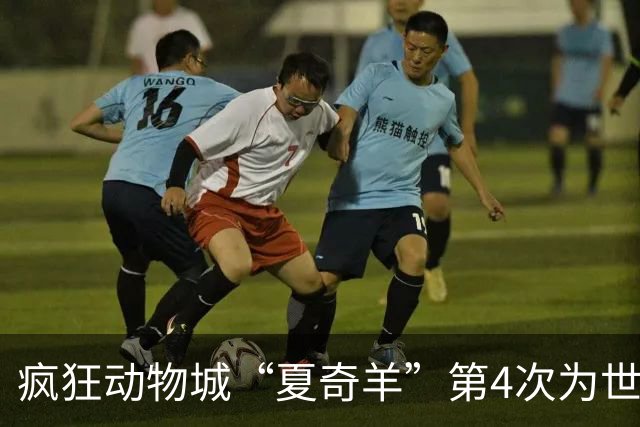 疯狂动物城“夏奇羊”第4次为世界杯开嗓，版税将全捐用于贫困儿童教育