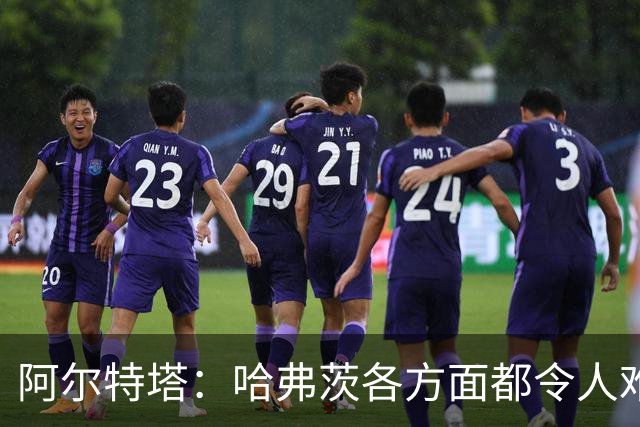 阿尔特塔：哈弗茨各方面都令人难以置信